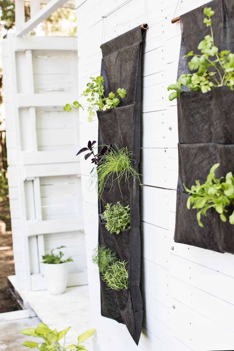 Helpful Tips for Vertical Gardens