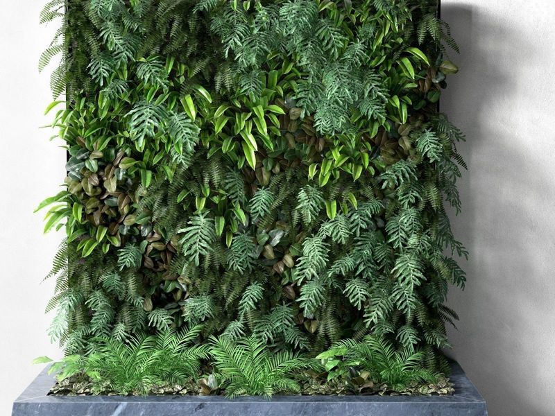 Helpful Tips for Vertical Gardens