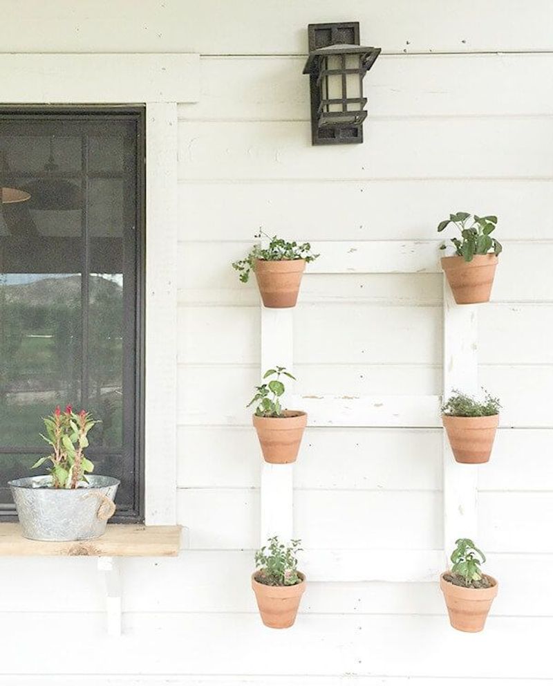 Helpful Tips for Vertical Gardens