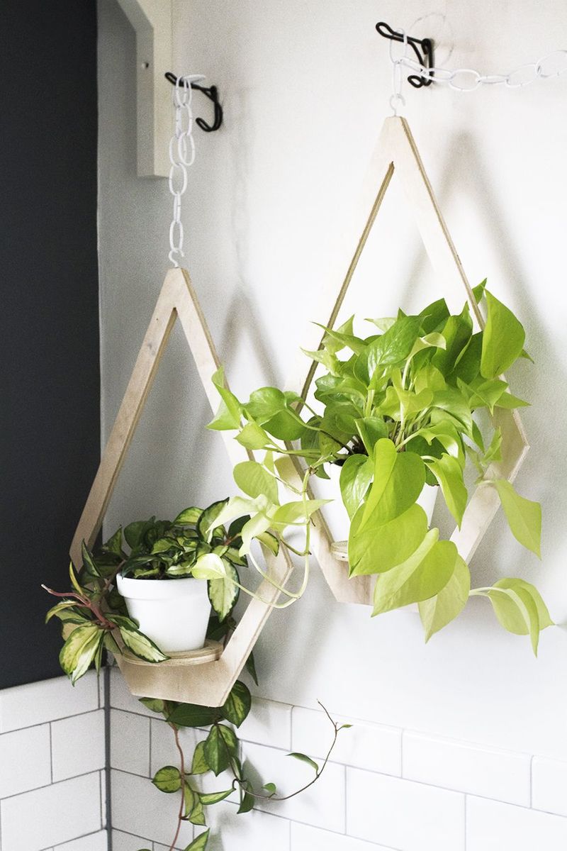 Helpful Tips for Vertical Gardens