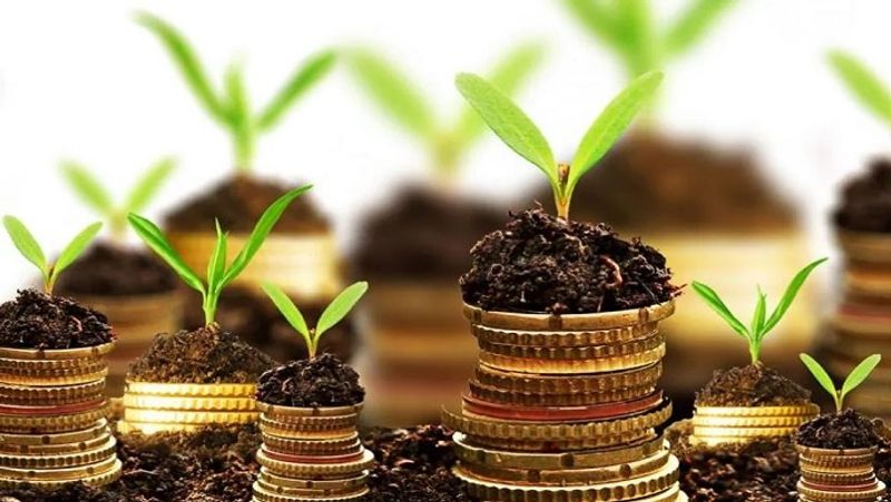 LIC launches Jeevan Akshay annuity plan, on investment you can get life long returns MJA