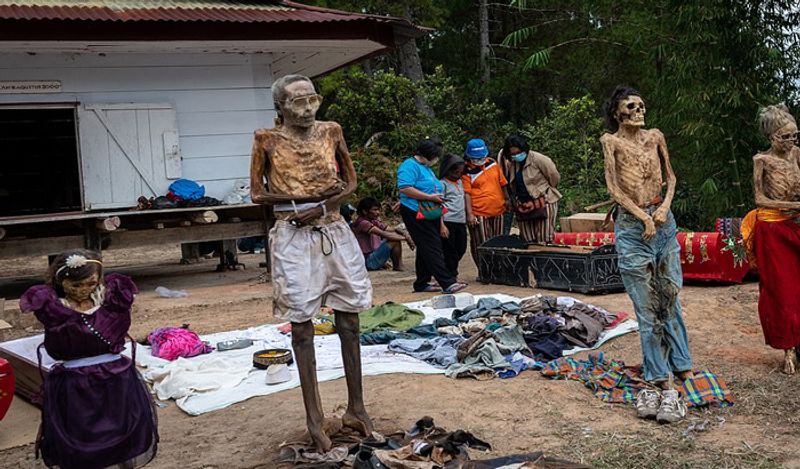 Indonesia Toraja Death Ritual where families dig dead relatives every year in august kph