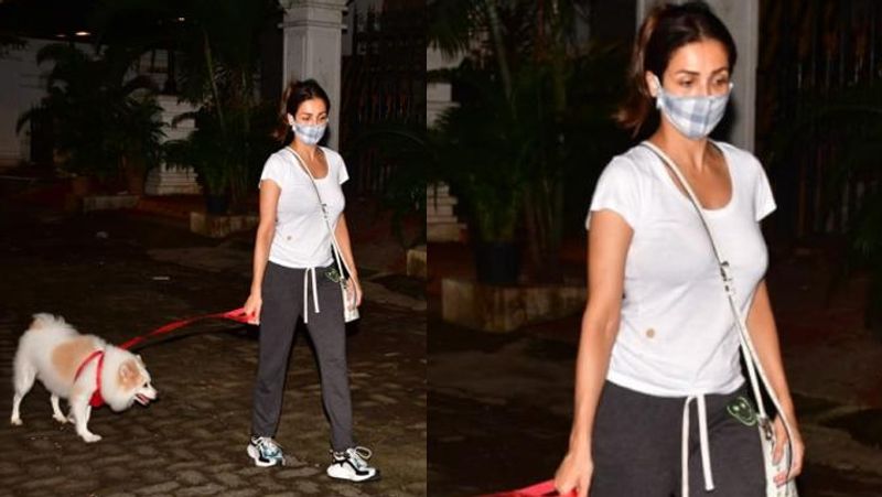 malaika arora late night walk with her pet dog other bollywood celebs also spotted at different places in mumbai KPJ