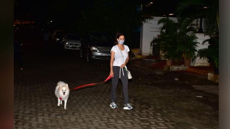 malaika arora late night walk with her pet dog other bollywood celebs also spotted at different places in mumbai KPJ