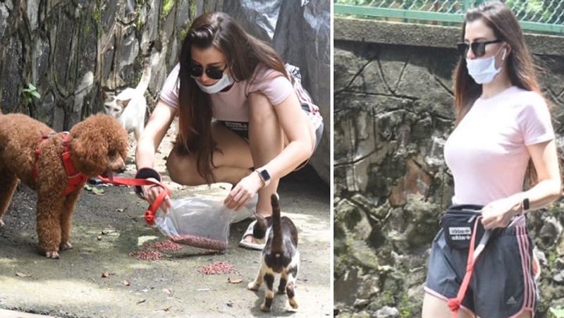 malaika arora late night walk with her pet dog other bollywood celebs also spotted at different places in mumbai KPJ