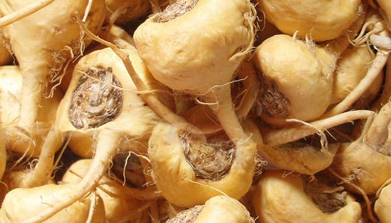 Herbs which could increased sex drive among women