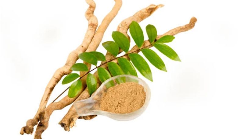 Herbs which could increased sex drive among women