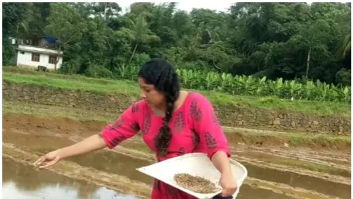 Artist Anumol video farm paddy Artist Anumol video farm paddy