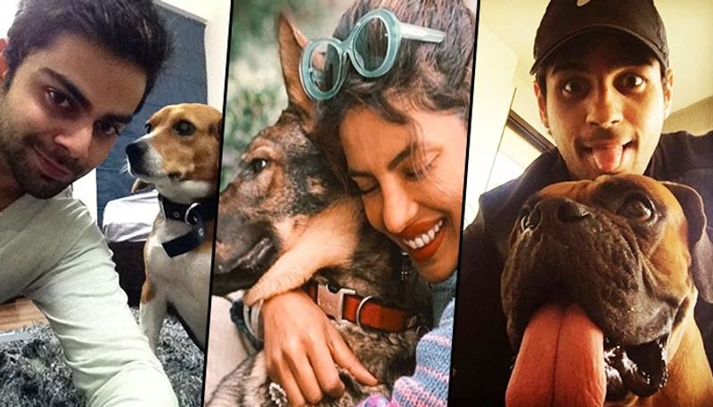 Happy International Dog Day: Priyanka Chopra to Samantha Akkineni, 14 celebs with their furry best friend RCB