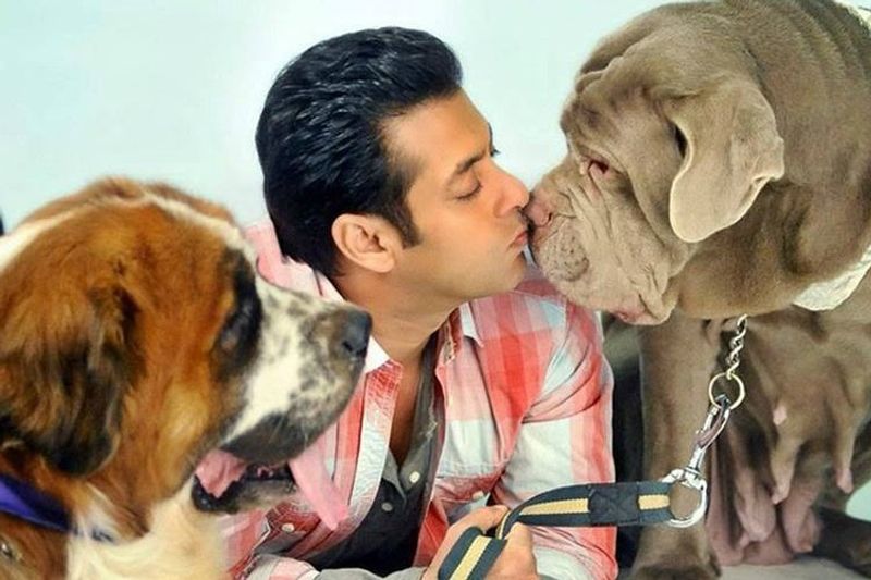 Happy International Dog Day: Priyanka Chopra to Samantha Akkineni, 14 celebs with their furry best friend RCB