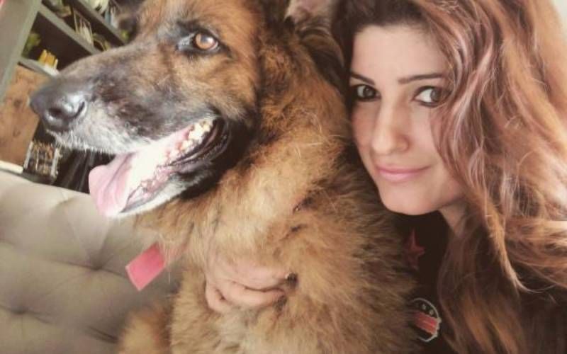 Happy International Dog Day: Priyanka Chopra to Samantha Akkineni, 14 celebs with their furry best friend RCB