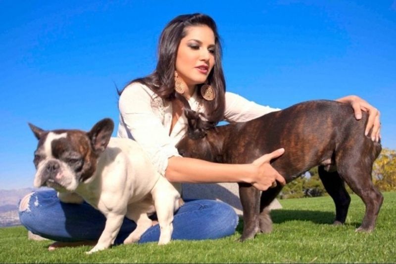 Happy International Dog Day: Priyanka Chopra to Samantha Akkineni, 14 celebs with their furry best friend RCB