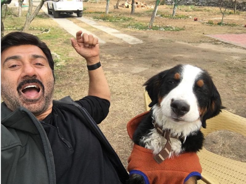 Happy International Dog Day: Priyanka Chopra to Samantha Akkineni, 14 celebs with their furry best friend RCB