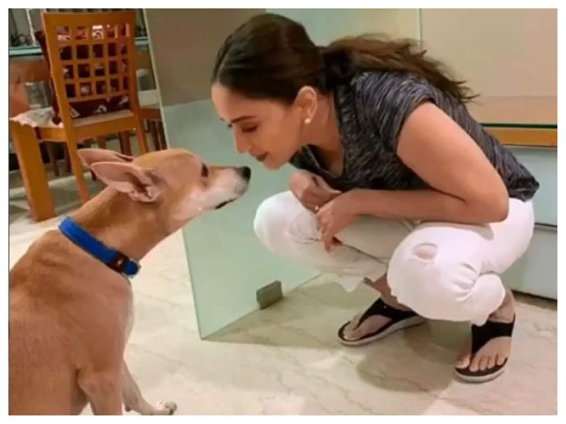 Happy International Dog Day: Priyanka Chopra to Samantha Akkineni, 14 celebs with their furry best friend RCB