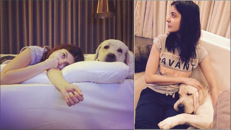 Happy International Dog Day: Priyanka Chopra to Samantha Akkineni, 14 celebs with their furry best friend RCB