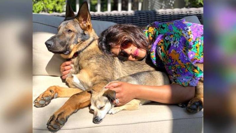 Happy International Dog Day: Priyanka Chopra to Samantha Akkineni, 14 celebs with their furry best friend RCB