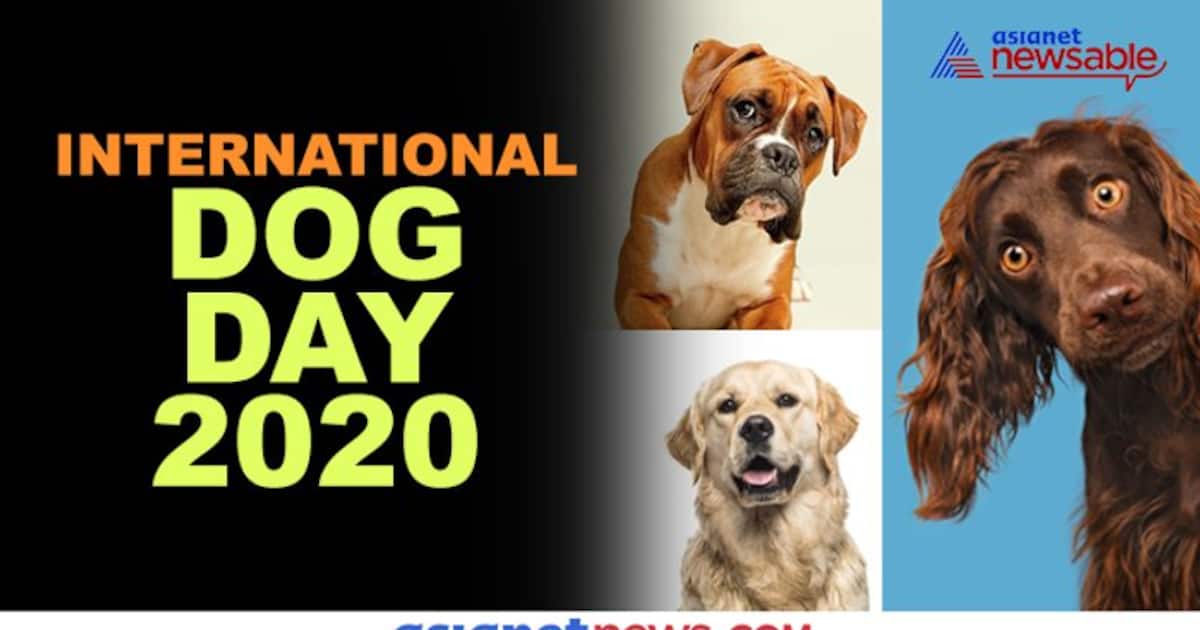 International Dog Day 2020 6 Amazing Facts About Dogs