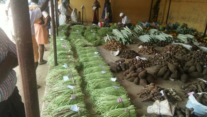 Organic vegetables farming and sale in Charummoodu Organic vegetables farming and sale in Charummoodu