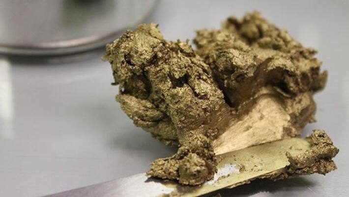 couple arrested for smuggling gold paste cost of 1.15 crore couple arrested for smuggling gold paste cost of 1.15 crore
