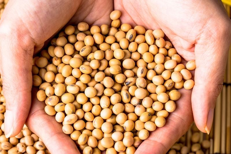 Here are 7 dangerous side effects of consuming vegan food-dnm