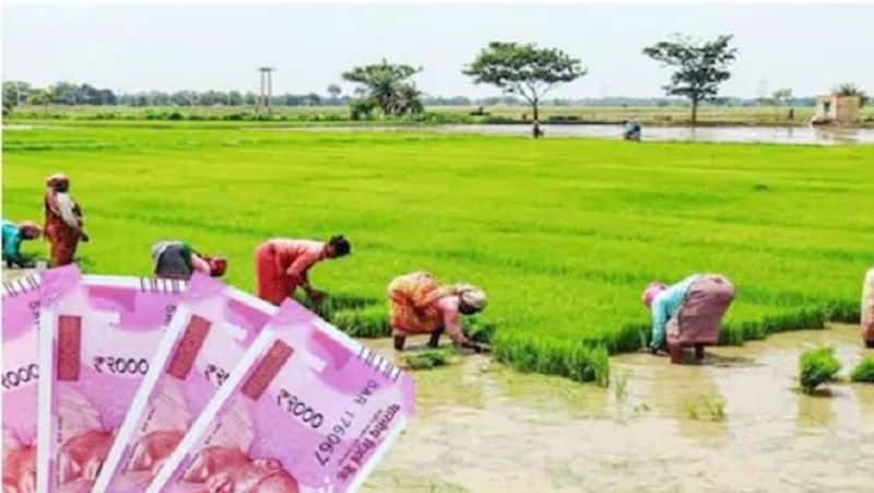 Prime Minister Kisan should not spare anyone in the matter of project abuse, Mubarak boils rice