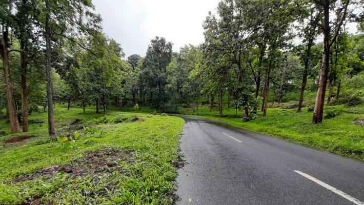 bike travel is no safe in sulthan batheri pulppalli route due to Tiger attack bike travel is no safe in sulthan batheri pulppalli route due to Tiger attack