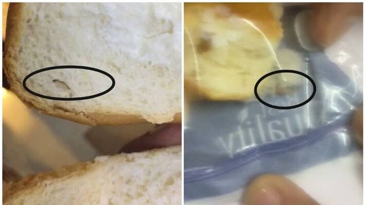 Worm in sweet bun department of Food Safety suspends bakery license Worm in sweet bun department of Food Safety suspends bakery license