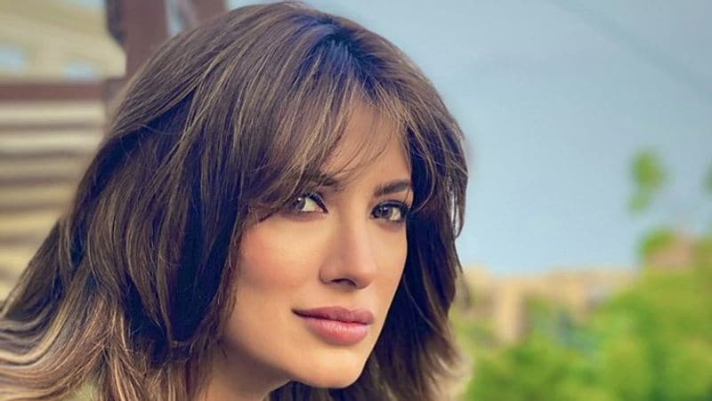 Dawood Ibrahim Girlfriend pakistani Actress Mehwish Hayat commented over Kashmir KPP