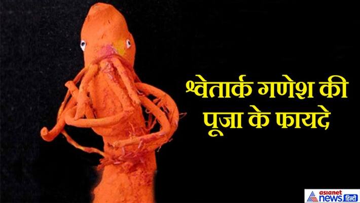 Ganesh Utsav: Ganesh idol made of white figure is miraculous, know the benefits of worshiping this idol KPI Ganesh Utsav: Ganesh idol made of white figure is miraculous, know the benefits of worshiping this idol KPI