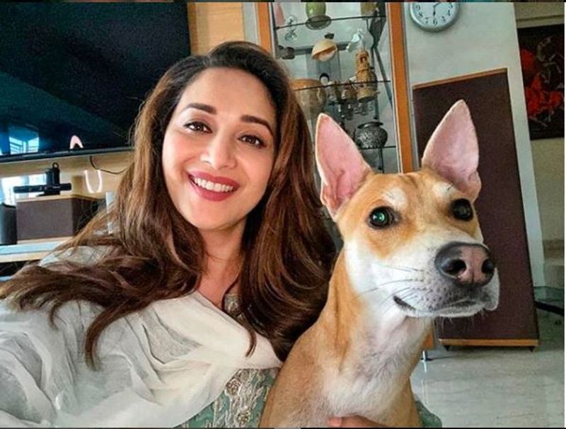 From Deepika Padukone to Aishwarya Rai to Anushka Sharma: Beauty secrets of actress you must follow-dnm