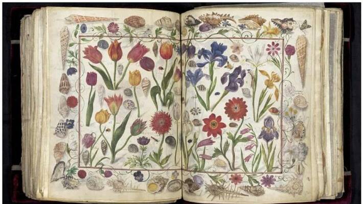German library bought Friendship book worth crores German library bought Friendship book worth crores