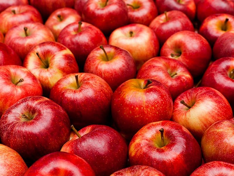 Weight Loss: Should fruits be avoided when you are on a diet-dnm