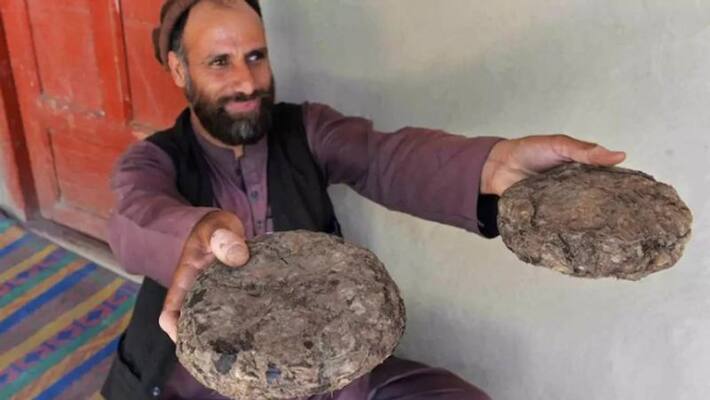 crushed by covid and war jobless afghan turn to opium for cash crushed by covid and war jobless afghan turn to opium for cash
