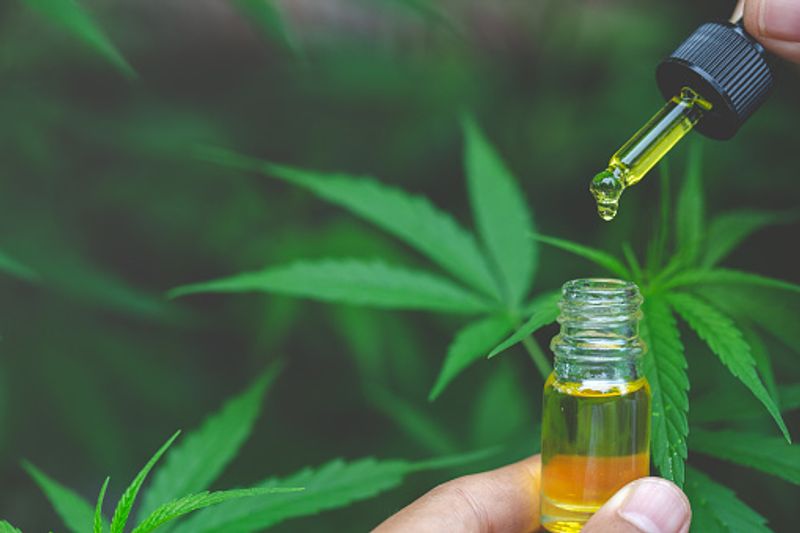 Marijuana use and its effects on your mind and body