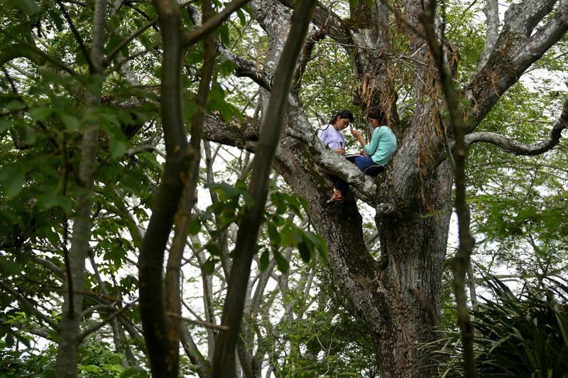 sisters attending online classes up a tree in El Salvadoran KPP