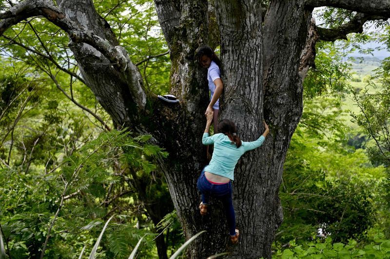 sisters attending online classes up a tree in El Salvadoran KPP