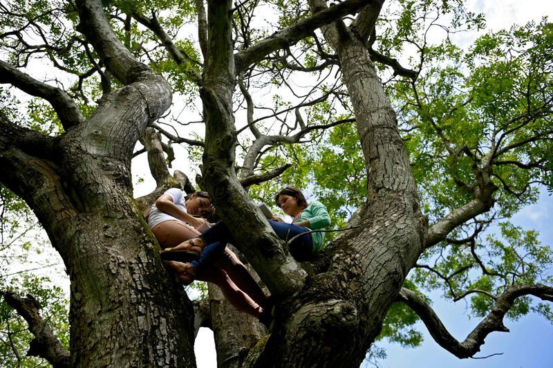 sisters attending online classes up a tree in El Salvadoran KPP