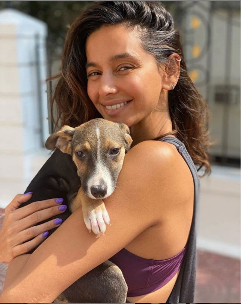 shibani dandekar lesser known facts about farhan akhtar girlfriend