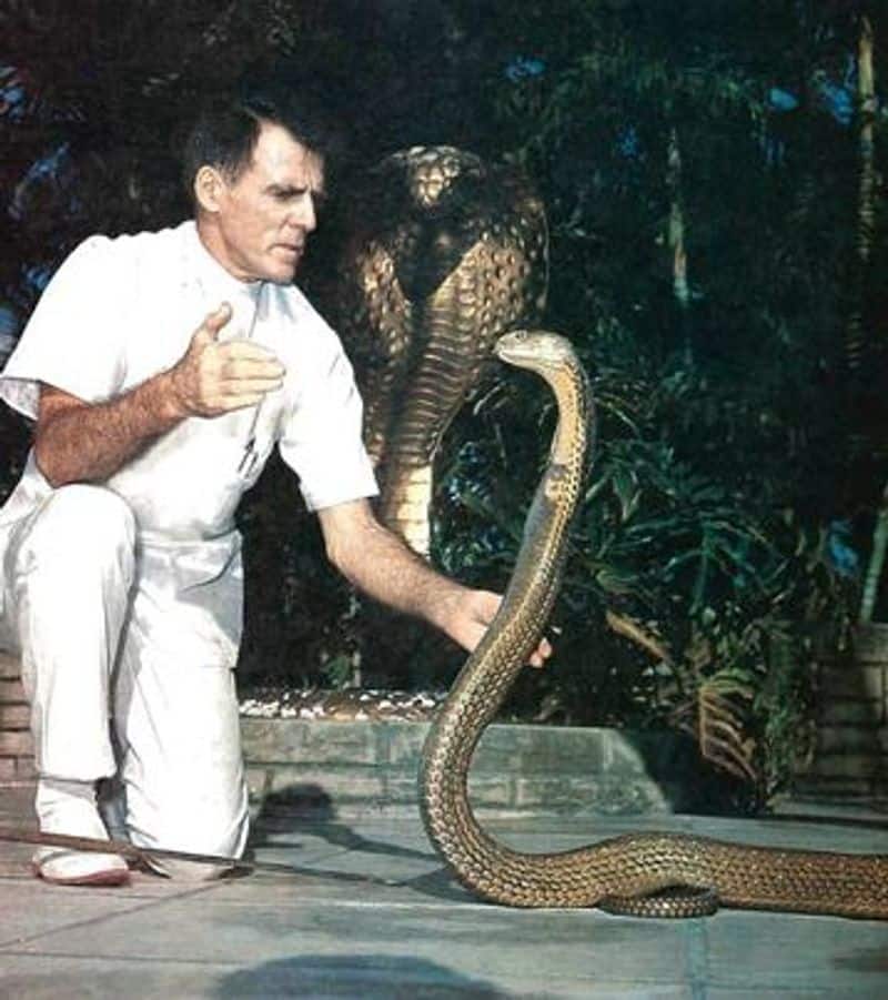 The snake man, who got bitten by snake 173 times