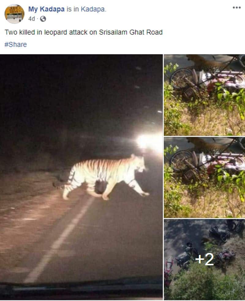 Fake alert Leopard attack in Srisailam ghat road