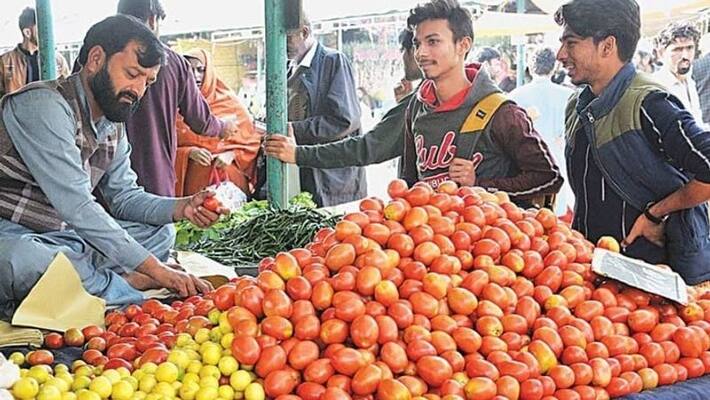 chhattisgarh kanker bought 1 kg of tomatoes in 580 for quarantine center kpr chhattisgarh kanker bought 1 kg of tomatoes in 580 for quarantine center kpr