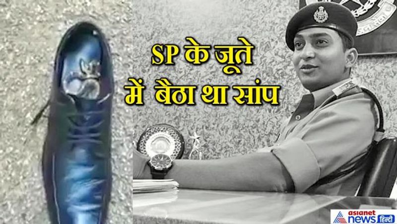 यह मामला मध्य प्रदेश के पन्ना जिले के एसपी से जुड़ा है। पिछले दिनों एसपी मयंक अवस्थी रोज की तरह लंच के बाद आफिस जाने के लिए निकलने वाले थे। तभी जूता पहनते समय उन्हें उसके अंदर सांप दिखा। लेकिन वे जूते में पैर डाल चुके थे। गनीमत रही कि सांप ने उन्हें डसा नहीं था। आगे पढ़ें...जब पुलिस चौकी में घुसा सांप...