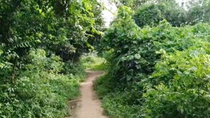 Wild animals beaten to death in Midnapore BTG Wild animals beaten to death in Midnapore BTG