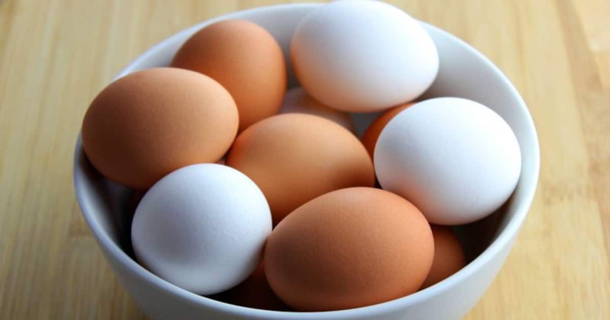 Brown eggs vs white eggs Which one should you choose