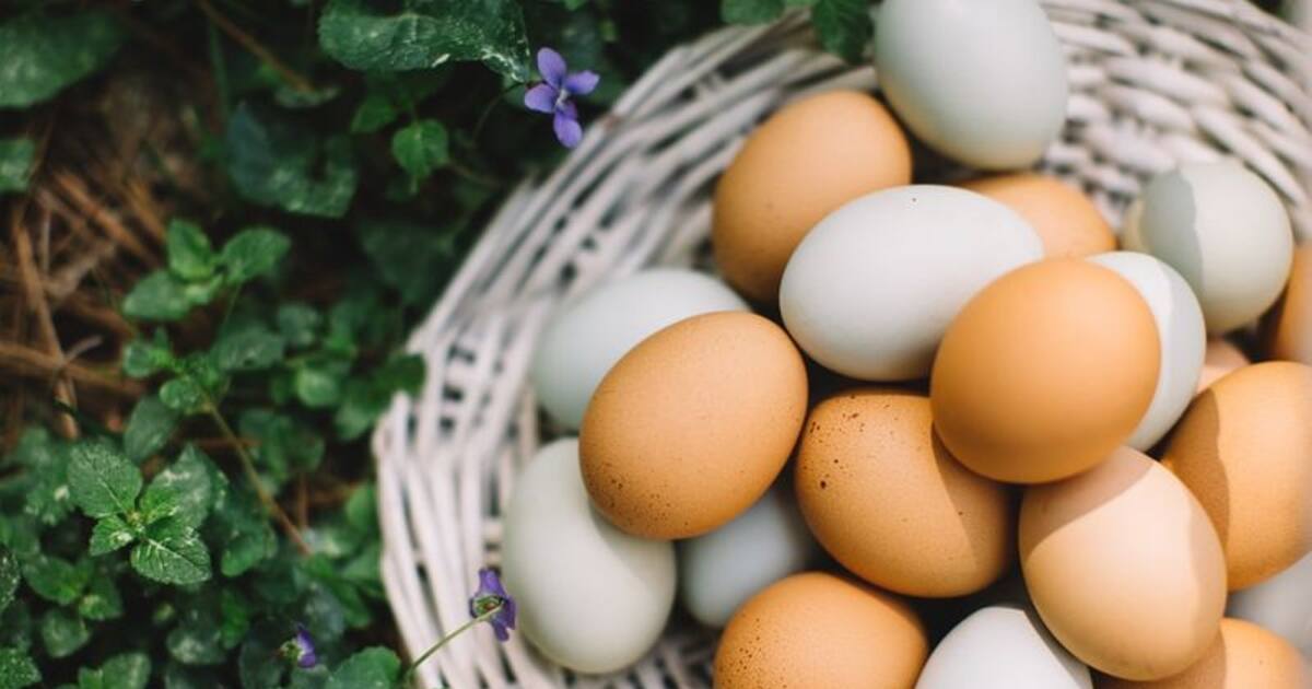 Best ways to eat eggs to boost weight loss