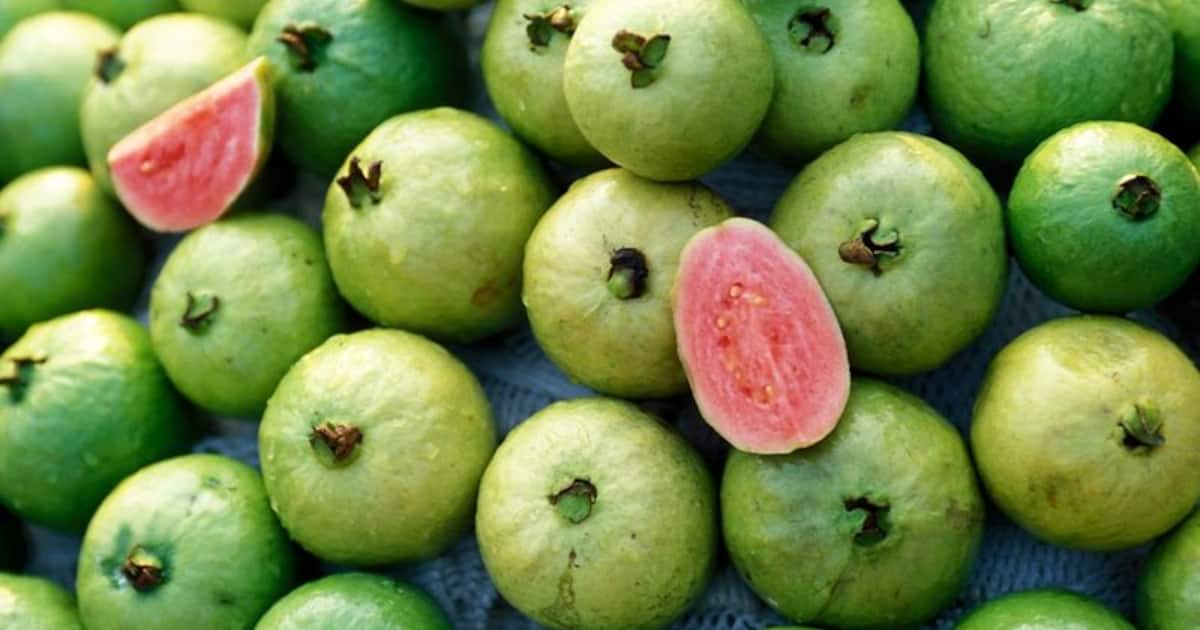 Try out these easy guava recipes for weight loss