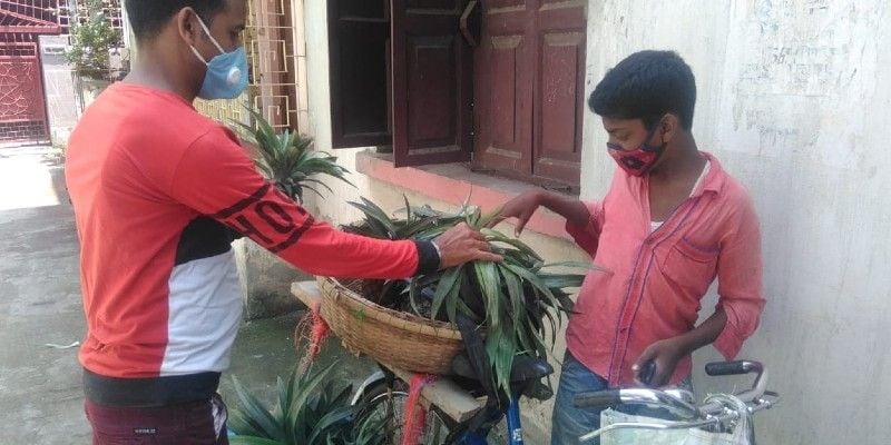 A school student sells pineapple to earn money during lockdown in Malda BTG
