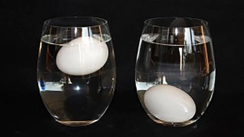 easy and fast egg boiling recipe without shell dva