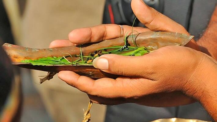 Pitru Paksha from September 2: know the dos and dont's of shradh paksha KPI Pitru Paksha from September 2: know the dos and dont's of shradh paksha KPI