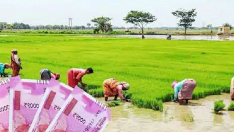 रिकॉर्ड कर लें चेक
अगर आपने इस स्कीम में रजिस्ट्रेशन करवाया है और आपके खाते में पैसे नहीं आए हैं, तो अपना रिकॉर्ड चेक कर लें और उसमें कहीं गलती हो तो उसे ठीक करवा लें। ऐसा होने पर स्कीम के तहत आगे अकाउंट में पैसे आ जाएंगे।
(फाइल फोटो)